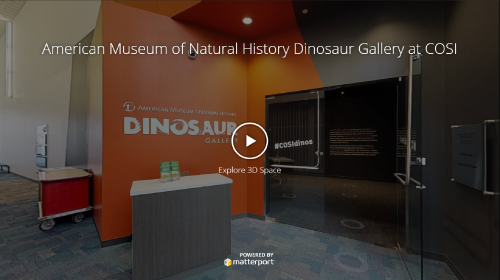 Virtual 360 Tour - Dinosaur Gallery