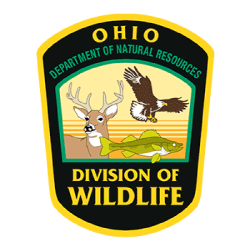 Wildlife Species Sighting