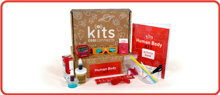 HUMAN BODY KIT