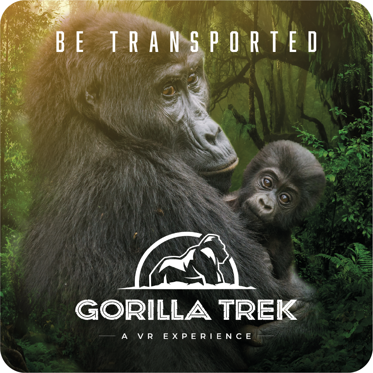 Gorilla Trek