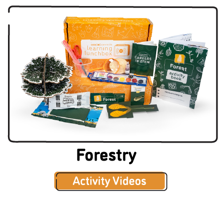 Click here to view the activity videos for the Forest Kit