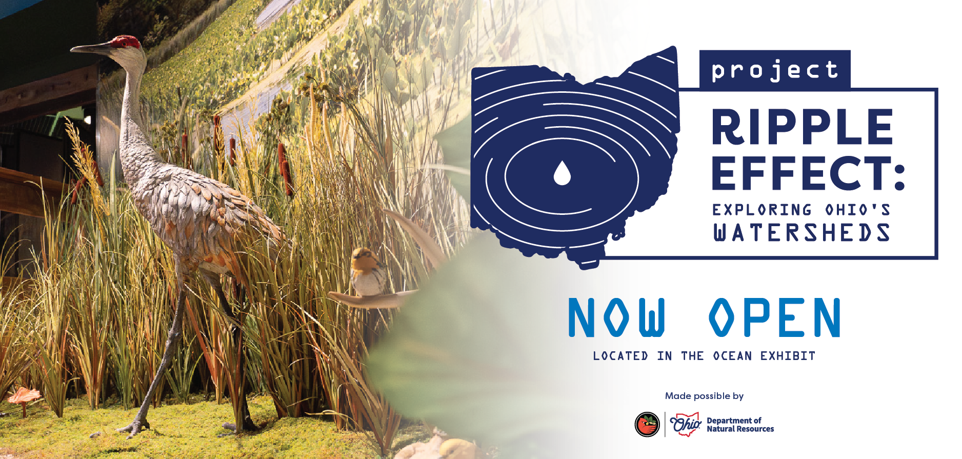 Project: Ripple Effect now open at COSI